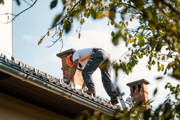 Best Local Roofing Companies  in Leland, MS