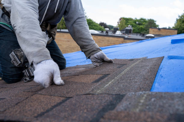 Best Roof Inspection Near Me  in Leland, MS