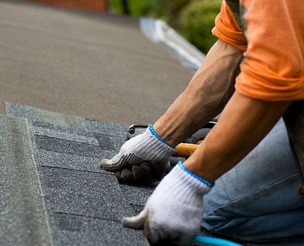 Best Roof Maintenance Services  in Leland, MS