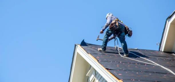 Best Roof Inspection Near Me  in Leland, MS